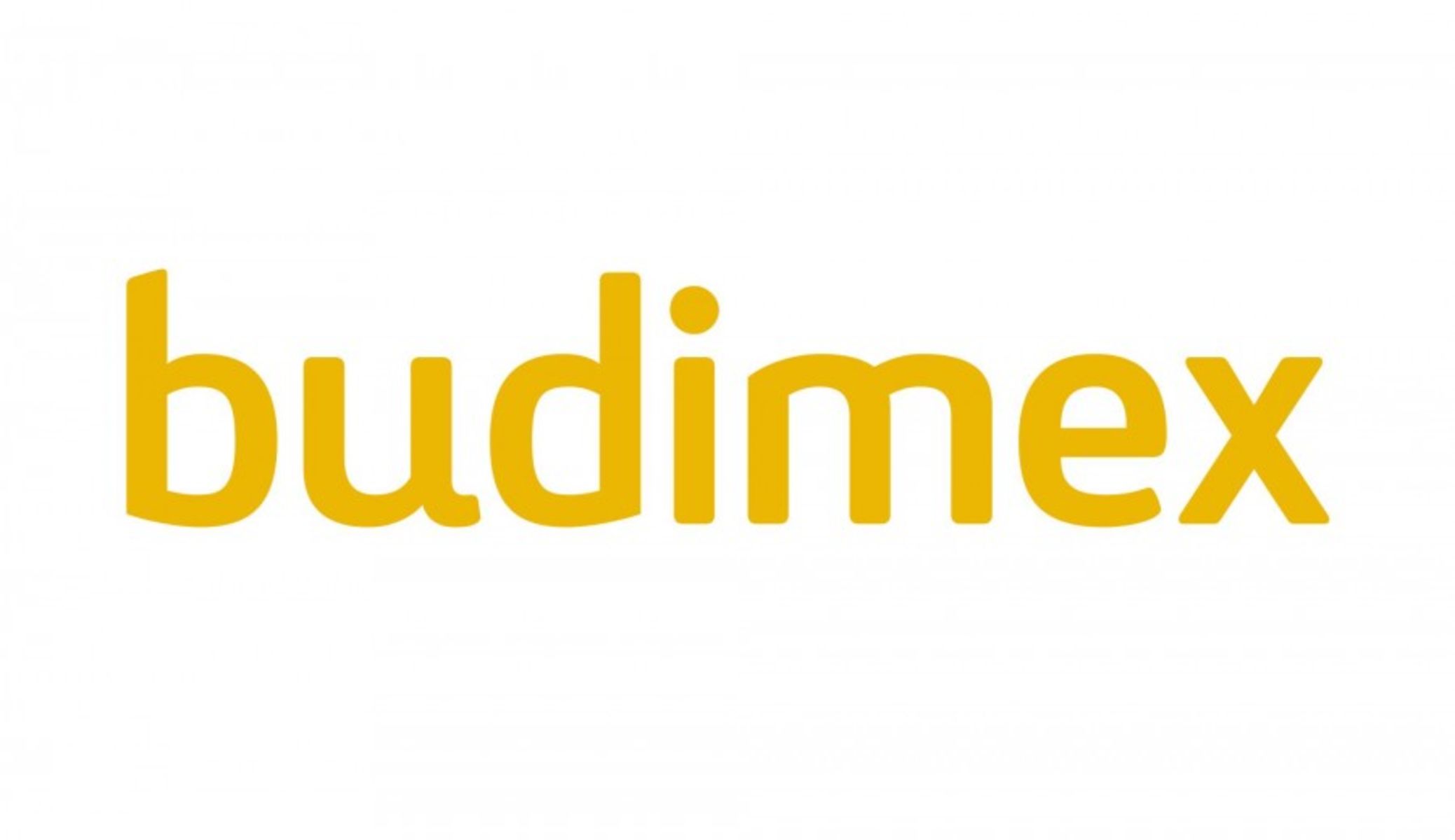 Logo Budimexu. Fot. budimex.pl